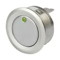 Vandal Resistant Switch; 0.125A/48V; 22mm; Point Illumination Green; Stainless Steel; IP67