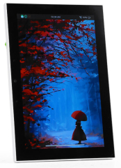 8" LCD Touch Display, HMI Device, 1280?800, ESP32-P4 and ESP32-C6, Wi-Fi 6 and BLE5, Camera and Dual Microphone, 2500mAh